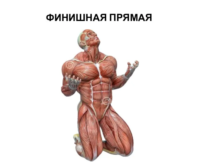 ФИНИШНАЯ ПРЯМАЯ