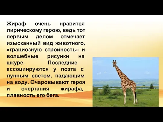 Жираф очень нравится лирическому герою, ведь тот первым делом отмечает изысканный вид