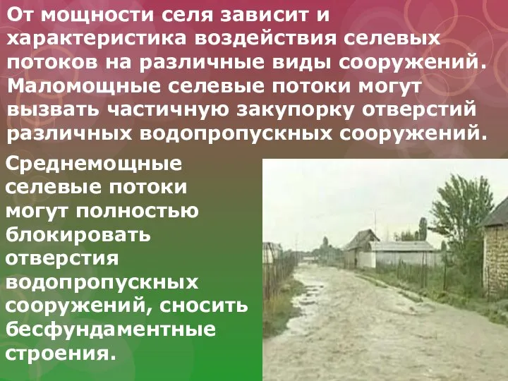 От мощности селя зависит и характеристика воздействия селевых потоков на различные виды