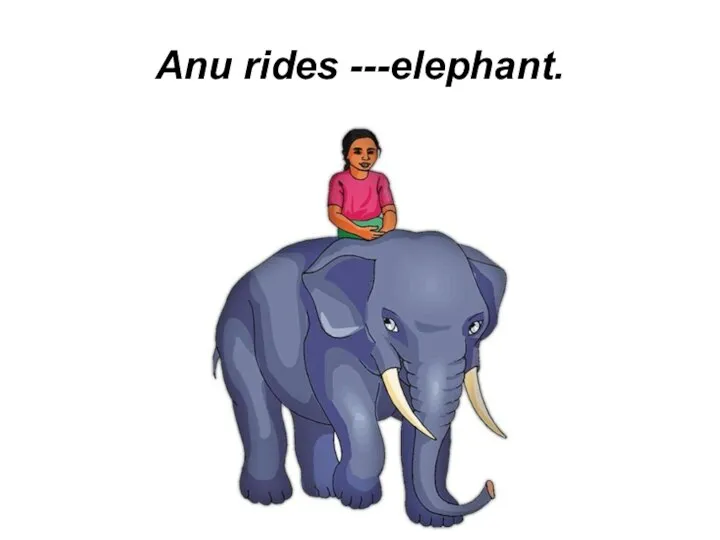 Anu rides ---elephant.