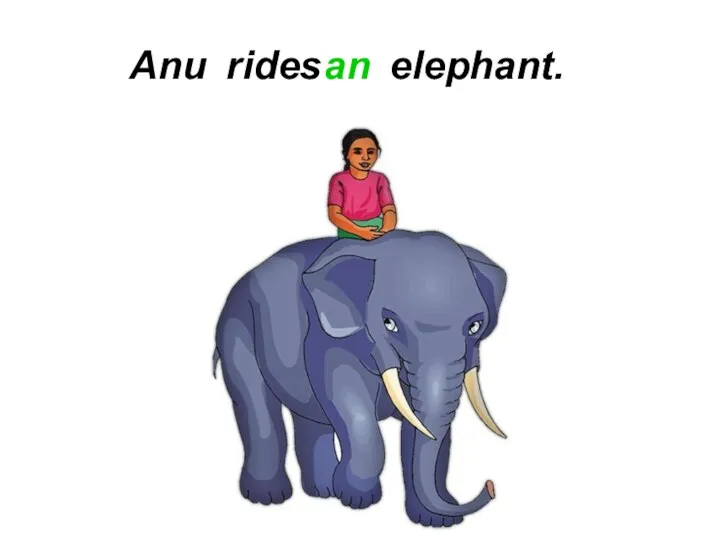 Anu rides an elephant.
