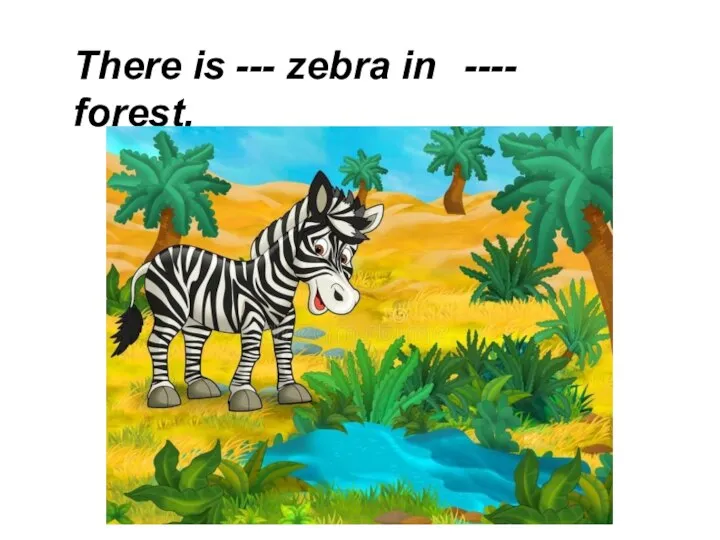 There is --- zebra in ---- forest.