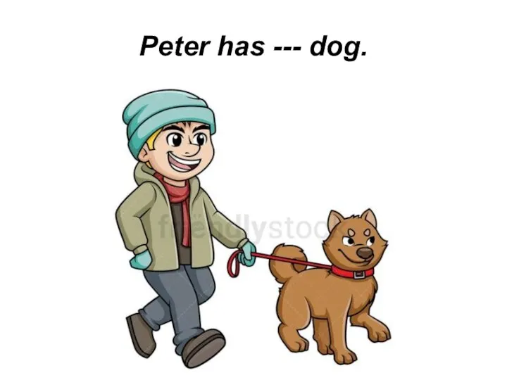 Peter has --- dog.