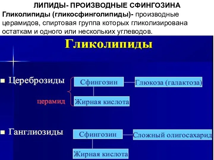 ЛИПИДЫ- ПРОИЗВОДНЫЕ СФИНГОЗИНА Гликолипиды (гликосфинголипиды)- производные церамидов, спиртовая группа которых гликолизирована остаткам