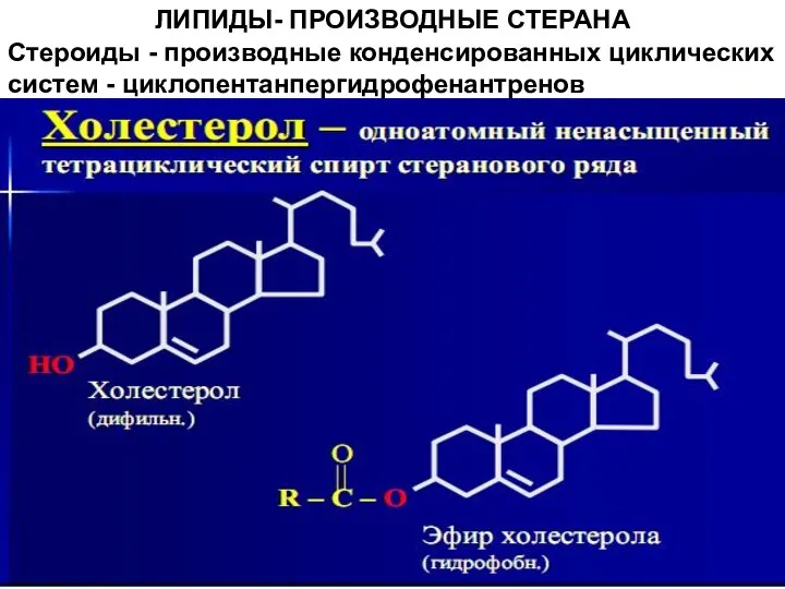 ЛИПИДЫ- ПРОИЗВОДНЫЕ СТЕРАНА Стероиды - производные конденсированных циклических систем - циклопентанпергидрофенантренов