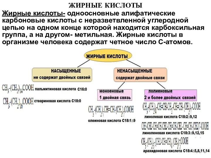 ЖИРНЫЕ КИСЛОТЫ Жирные кислоты- одноосновные алифатические карбоновые кислоты с неразветвленной углеродной цепью