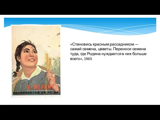 «Становись красным рассадником — сажай семена, цвветы. Переноси семена туда, где Родина