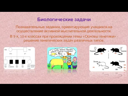 Биологические задачи Познавательные задания, ориентирующие учащихся на осуществление активной мыслительной деятельности. В