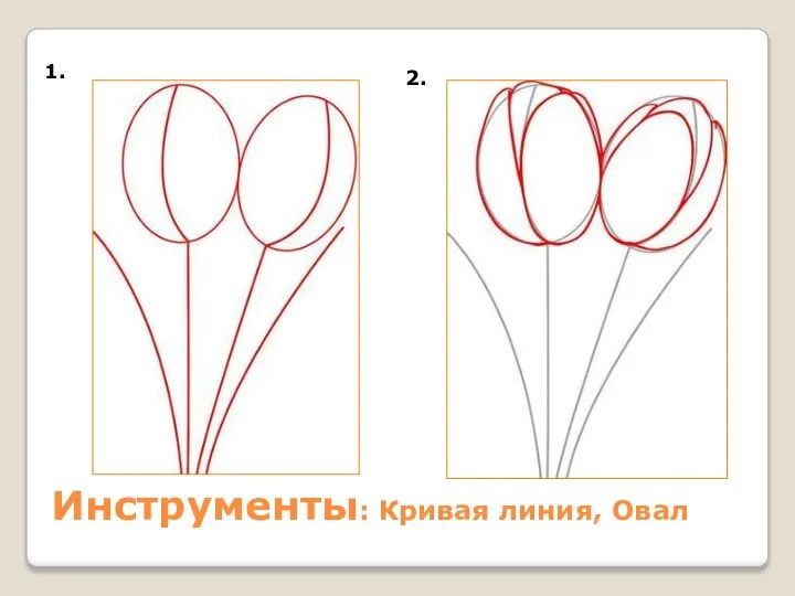 1. 2. Инструменты: Кривая линия, Овал