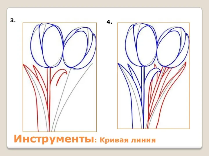 3. 4. Инструменты: Кривая линия