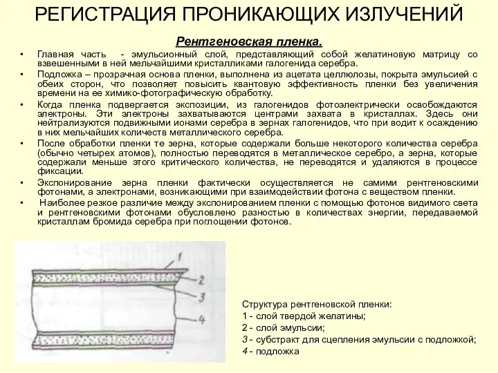 РЕГИСТРАЦИЯ ПРОНИКАЮЩИХ ИЗЛУЧЕНИЙ Рентгеновская пленка. Главная часть - эмульсионный слой, представляющий собой