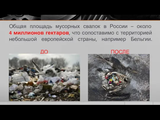 Общая площадь мусорных свалок в России – около 4 миллионов гектаров, что