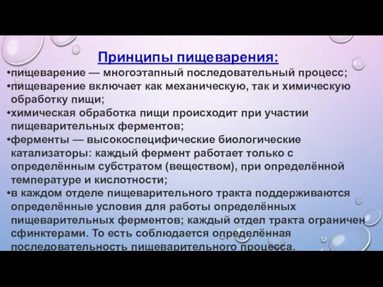 Принципы пищеварения: пищеварение — многоэтапный последовательный процесс; пищеварение включает как механическую, так