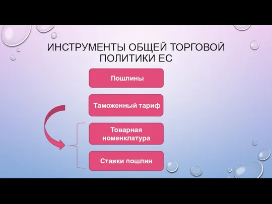 ИНСТРУМЕНТЫ ОБЩЕЙ ТОРГОВОЙ ПОЛИТИКИ ЕС Таможенный тариф Пошлины Товарная номенклатура Ставки пошлин