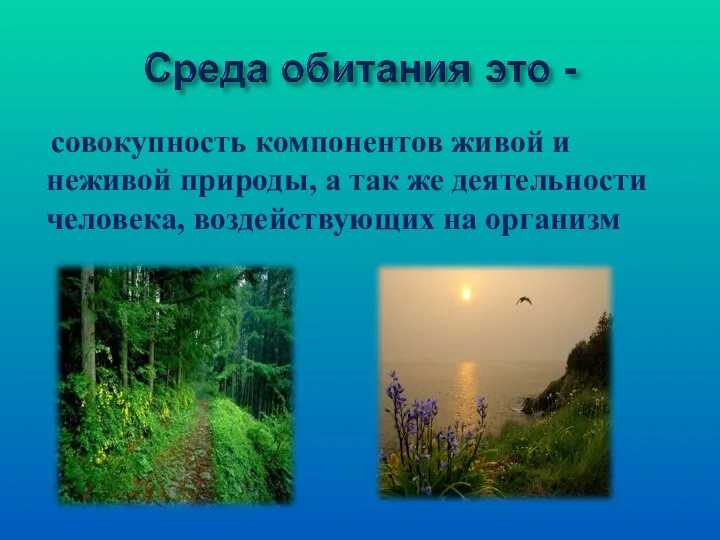 совокупность компонентов живой и неживой природы, а так же деятельности человека, воздействующих на организм