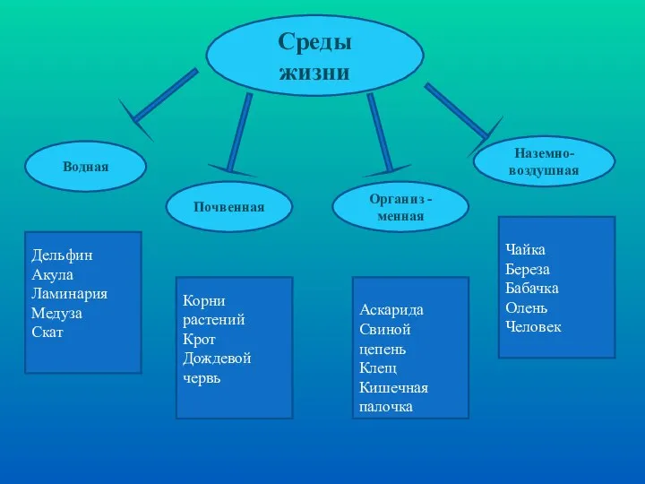 Среды жизни Водная Почвенная Наземно-воздушная Организ -менная Дельфин Акула Ламинария Медуза Скат