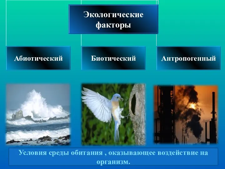 Условия среды обитания , оказывающее воздействие на организм.