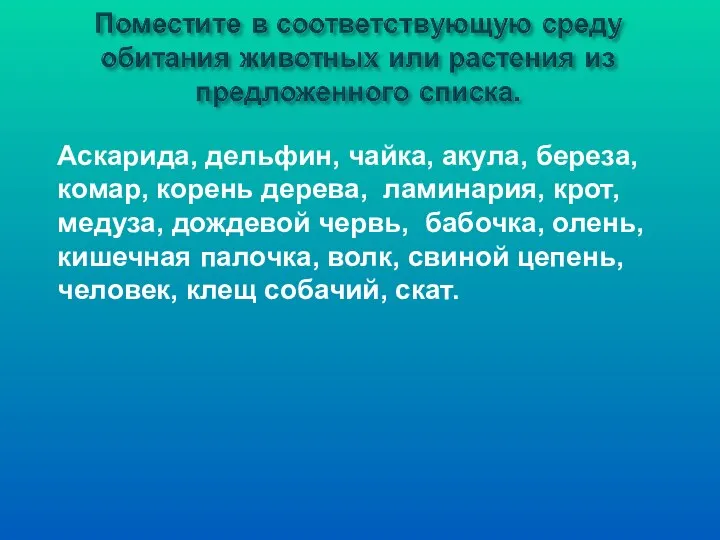 Аскарида, дельфин, чайка, акула, береза, комар, корень дерева, ламинария, крот, медуза, дождевой