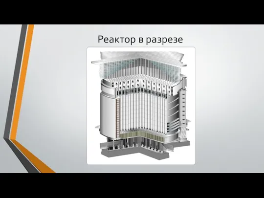 Реактор в разрезе