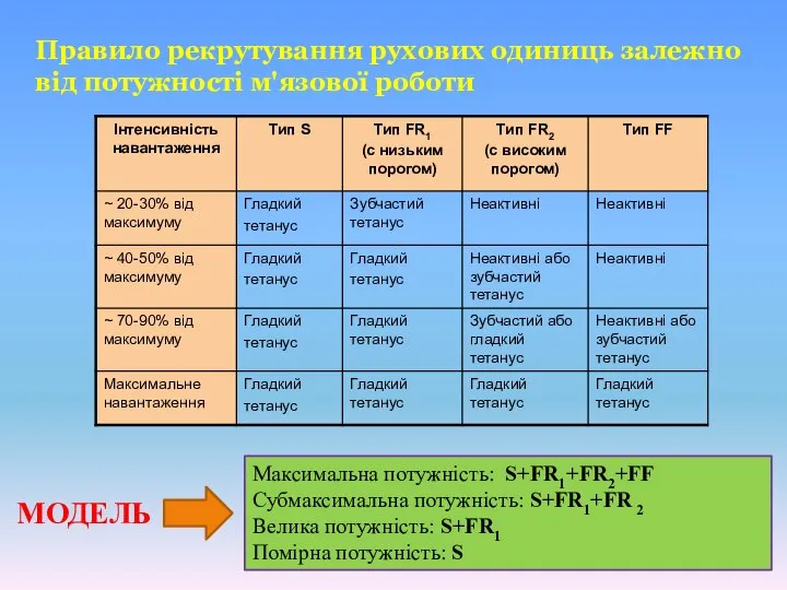 Максимальна потужність: S+FR1+FR2+FF Субмаксимальна потужність: S+FR1+FR 2 Велика потужність: S+FR1 Помірна потужність: