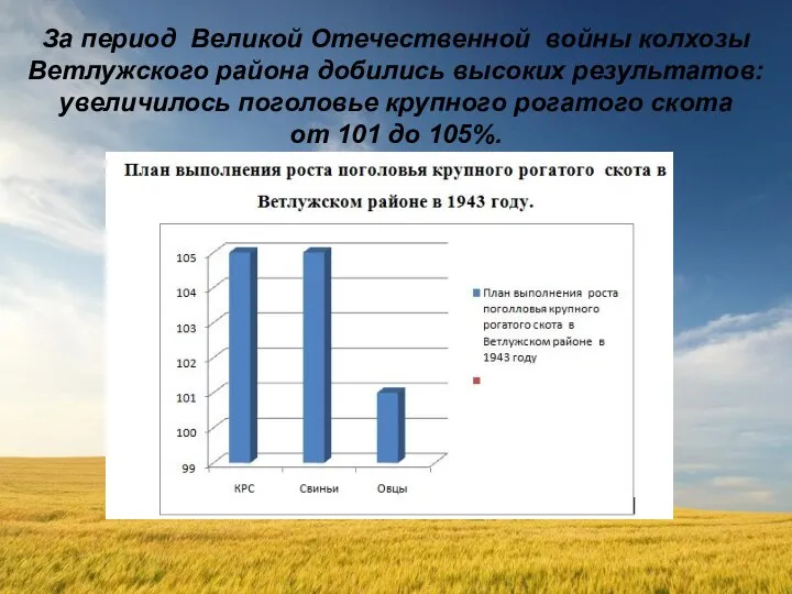 За период Великой Отечественной войны колхозы Ветлужского района добились высоких результатов: увеличилось