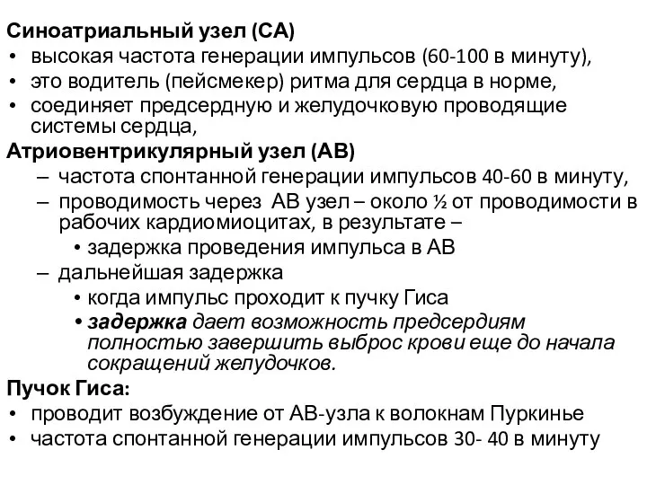 Синоатриальный узел (СА) высокая частота генерации импульсов (60-100 в минуту), это водитель