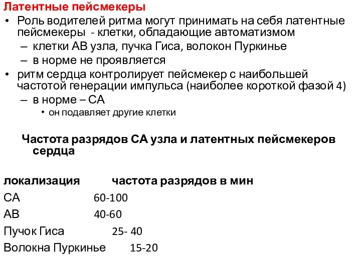 Латентные пейсмекеры Роль водителей ритма могут принимать на себя латентные пейсмекеры -