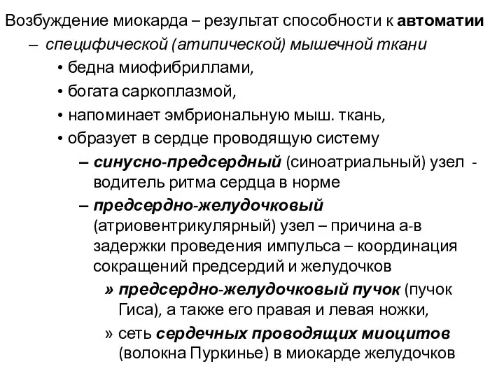 Возбуждение миокарда – результат способности к автоматии специфической (атипической) мышечной ткани бедна