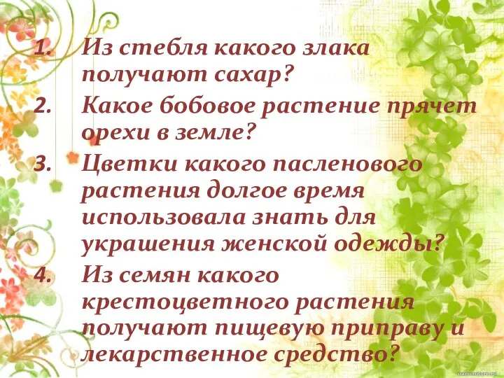 Из стебля какого злака получают сахар? Какое бобовое растение прячет орехи в