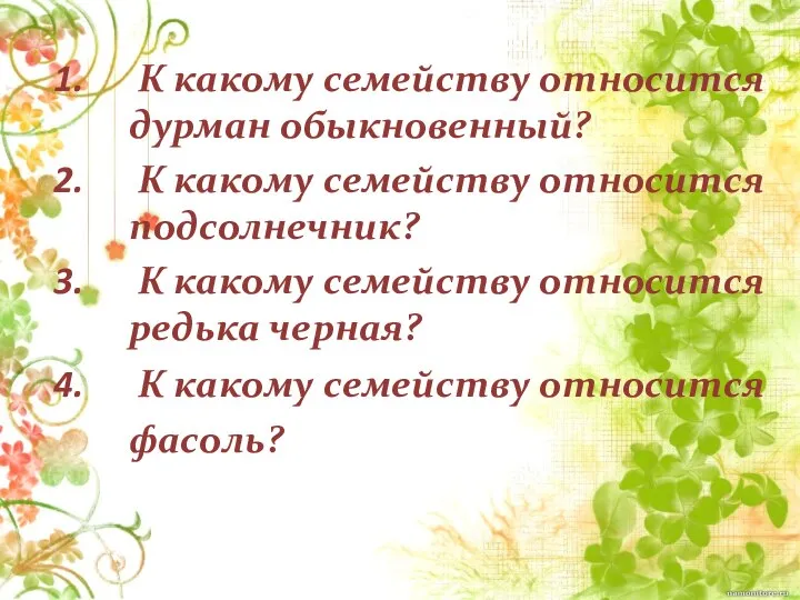 К какому семейству относится дурман обыкновенный? К какому семейству относится подсолнечник? К