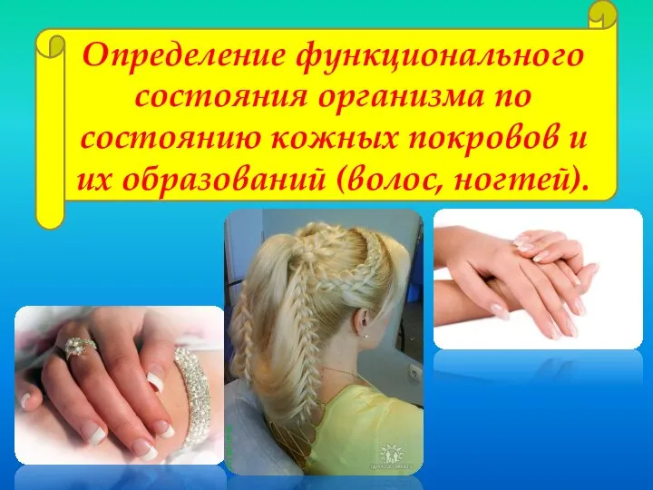 Определение функционального состояния организма по состоянию кожных покровов и их образований (волос, ногтей).