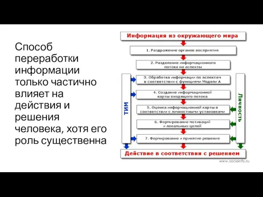 Способ переработки информации только частично влияет на действия и решения человека, хотя его роль существенна