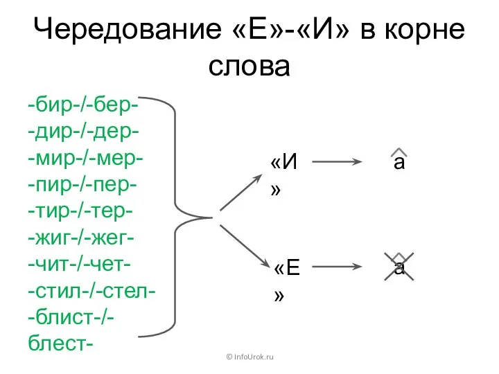Чередование «Е»-«И» в корне слова © InfoUrok.ru -бир-/-бер- -дир-/-дер- -мир-/-мер- -пир-/-пер- -тир-/-тер-