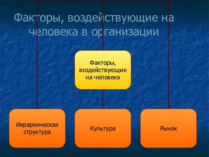 Факторы, воздействующие на человека в организации