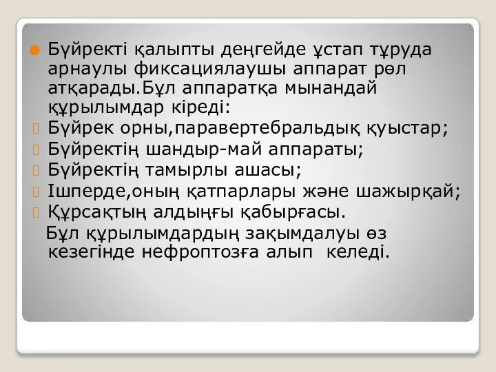 Бүйректі қалыпты деңгейде ұстап тұруда арнаулы фиксациялаушы аппарат рөл атқарады.Бұл аппаратқа мынандай