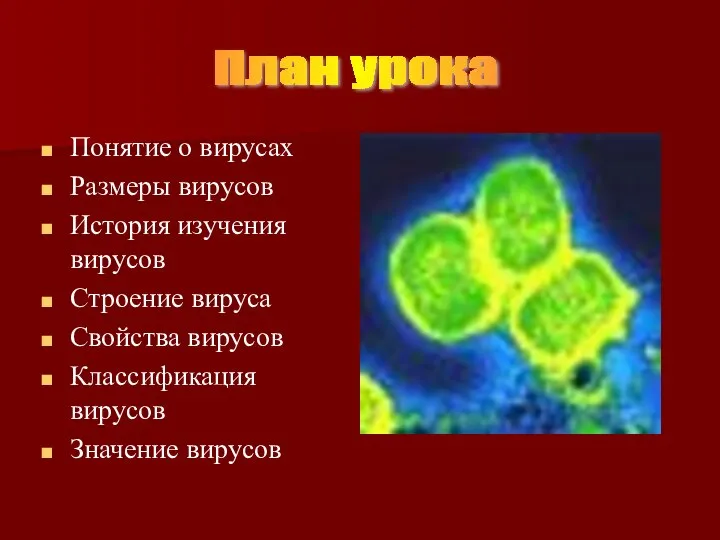 Понятие о вирусах Размеры вирусов История изучения вирусов Строение вируса Свойства вирусов