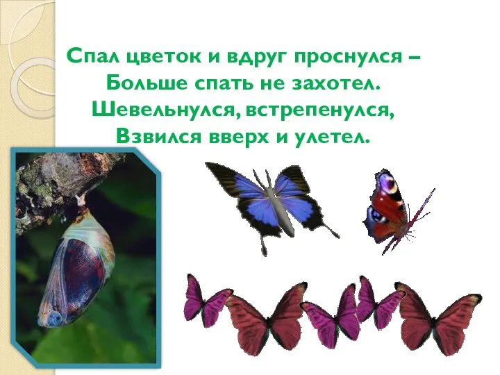 Спал цветок и вдруг проснулся – Больше спать не захотел. Шевельнулся, встрепенулся, Взвился вверх и улетел.