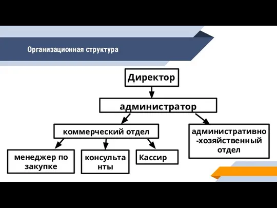 Организационная структура Директор администратор административно-хозяйственный отдел коммерческий отдел консультанты Кассир менеджер по закупке