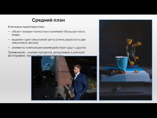 Средний план Ключевые характеристики: объект показан полностью и занимает большую часть кадра.