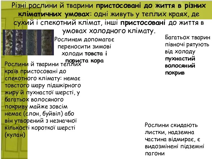 Різні рослини й тварини пристосовані до життя в різних кліматичних умовах: одні