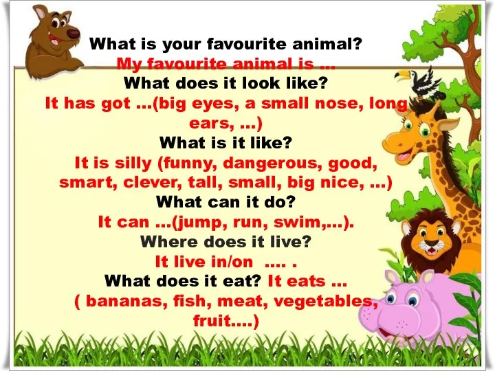 What is your favourite animal? My favourite animal is … What does