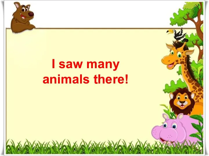 I saw many animals there!