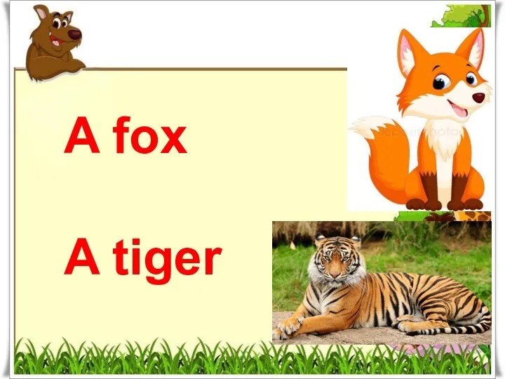 A fox A tiger