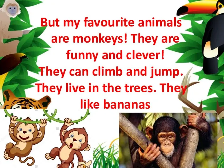 But my favourite animals are monkeys! They are funny and clever! They