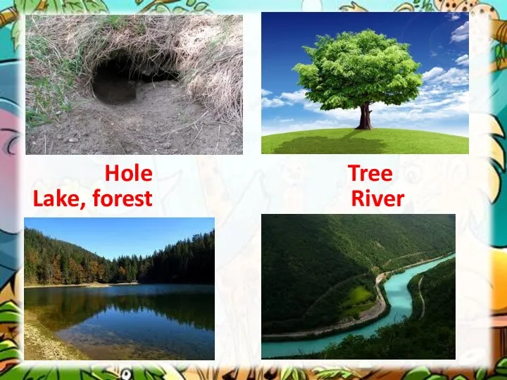 Hole Tree Lake, forest River