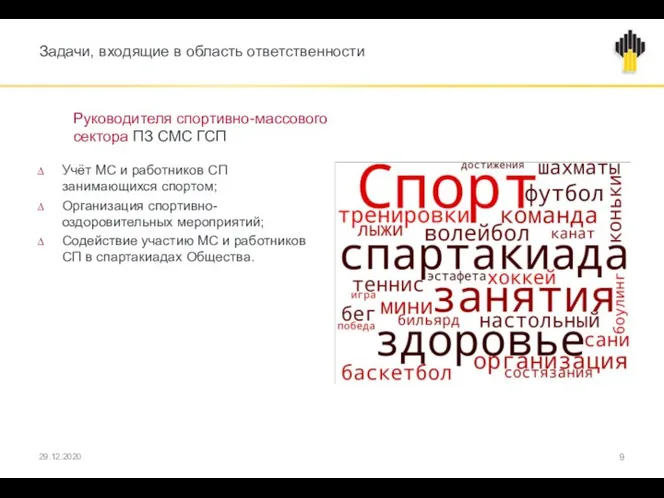 Задачи, входящие в область ответственности Руководителя спортивно-массового сектора ПЗ СМС ГСП Учёт