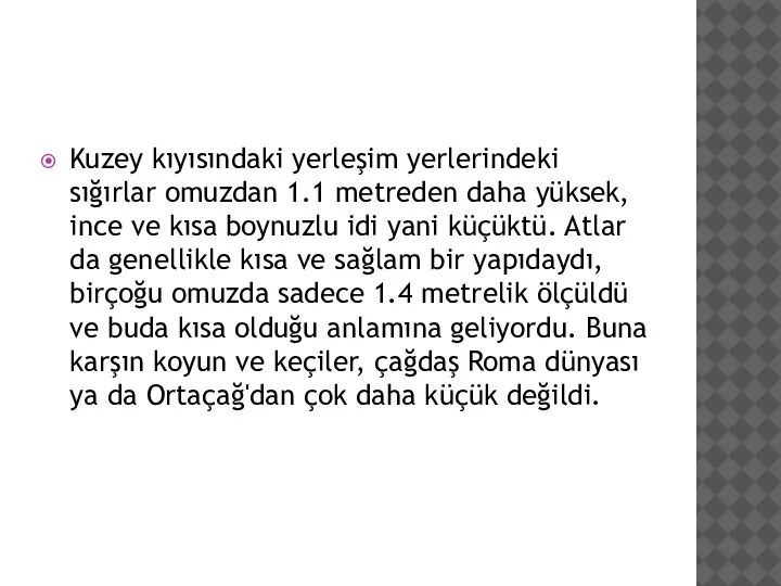 Kuzey kıyısındaki yerleşim yerlerindeki sığırlar omuzdan 1.1 metreden daha yüksek, ince ve