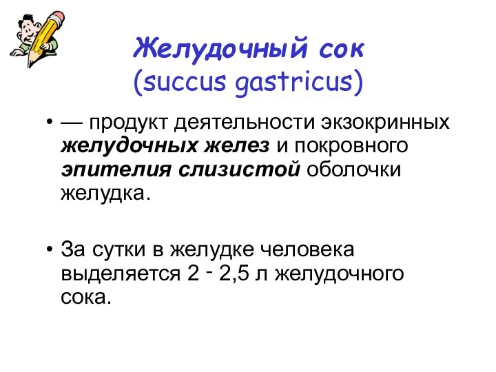 Желудочный сок (succus gastricus) — продукт деятельности экзокринных желудочных желез и покровного