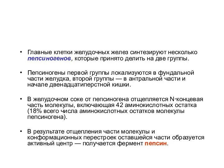 Главные клетки желудочных желез синтезируют несколько пепсиногенов, которые принято делить на две