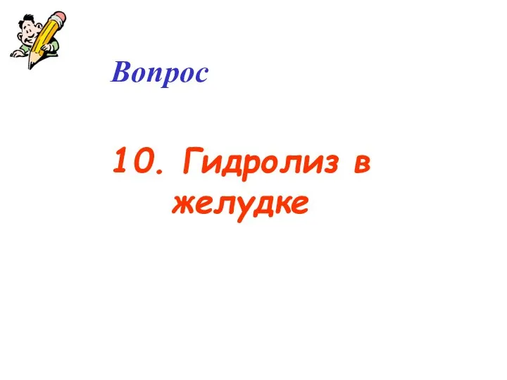 Вопрос 10. Гидролиз в желудке